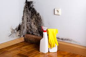 Mold Remediation for Rental Properties in Glade Spring, VA